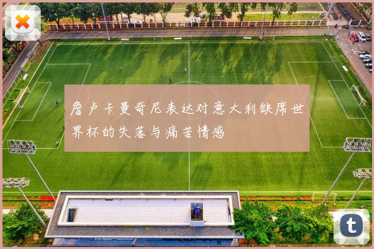 詹卢卡曼奇尼表达对意大利缺席世界杯的失落与痛苦情感